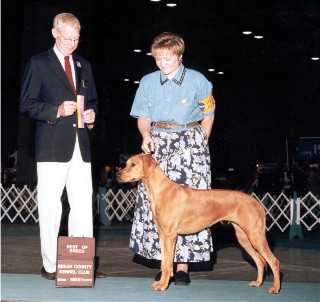 wishbone breed valor s parents wishbone breed valor s parents
